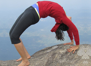 Chakrasana