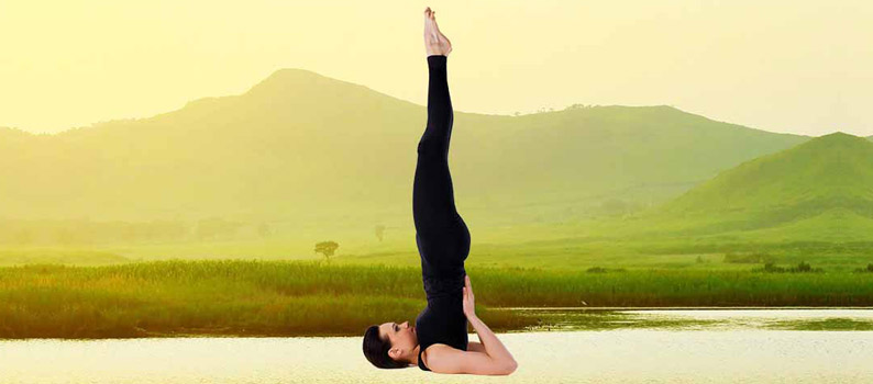 Unsupported Shoulder Stand Pose (Niralamba Sarvangasana) - Yoga Pose