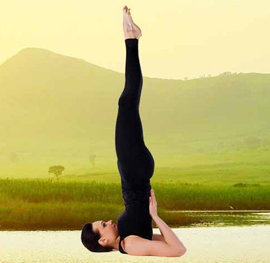 7 Seated Twisting Yoga Poses - Journeys of Yoga