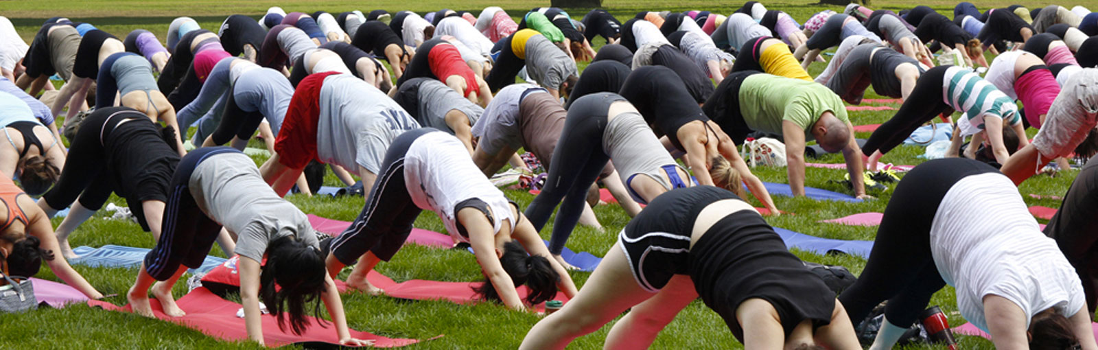 Yoga Day 2022